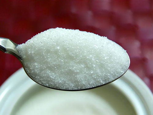 歐洲最大糖廠Suedzucker展望 糖市回暖，谷物副產品顯現潛機